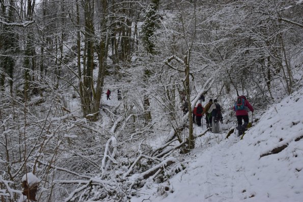 les vosges _011w-e raquettes 2022